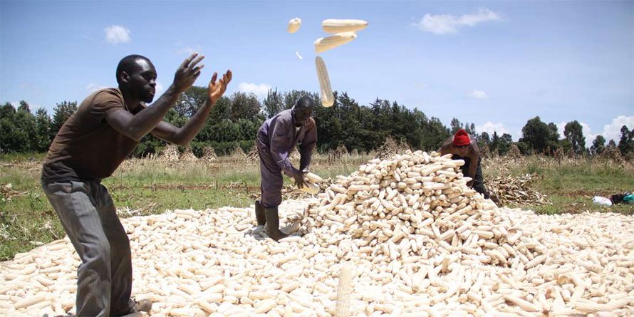 Kenya is looking to have enough food for all in the next five