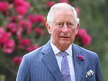 The Prince of Wales said big businesses have `no excuse´ not to take immediate action (Chris Jackson/PA)