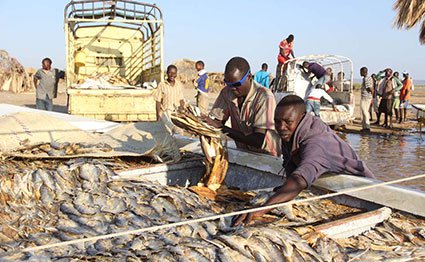 Ebola outbreaks affect fish market in Kenya