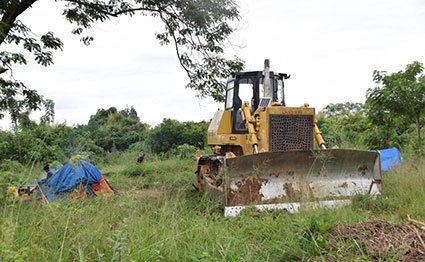 Conservationists, kingdom clash over Ugandan forest